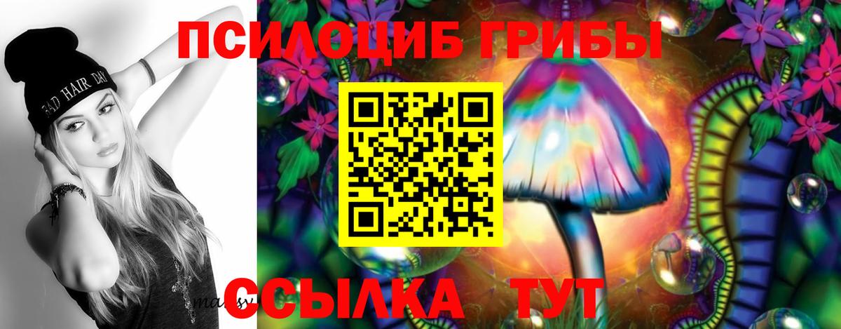 Псилоцибиновые грибы Psilocybe  Вход с VPN  Ревда 